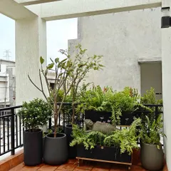 A beautifully crafted balcony garden by a client, featuring a cluster of my modern black planters and a serene reclining Buddha statue.