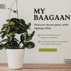 Find your dream plant while sipping coffee. We offer over 1000 types of plants and even provide landscaping tips and consultations to help you choose the right one.