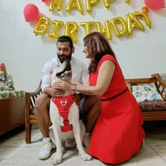 A beautiful family moment from Pablo's birthday celebration. You can see how happy he is, getting all the attention and love from his parents under the "Happy Birthday" decorations.