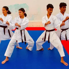 Our students practice in unison, developing teamwork and synchronized timing. Here, they hold a strong kiba-dachi (horse stance), a fundamental stance for stability and power.