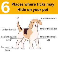 It's important to know where ticks may hide on your pet. This helpful graphic shows the six common spots to check regularly, especially after outdoor play. Regular grooming helps us spot these issues early.