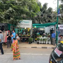 Another shot of our stall at the Chembur Festival. It's always a pleasure to bring a selection of our best plants out for everyone to see and to be a part of local festivities.