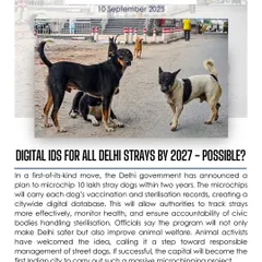 The Delhi government has announced an ambitious plan to microchip 10 lakh stray dogs by 2027. This will create a digital database with vaccination and sterilization records to improve animal welfare and public safety.