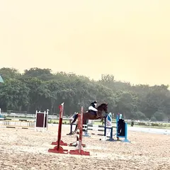 A wide shot of our rider competing, showing the scale of the competition arena and the focus required.
