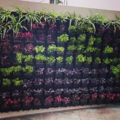 A completed vertical garden panel featuring a pattern of different plant textures and colors. I use spider plants at the top for a cascading effect and alternate rows of green and purple foliage for visual interest.