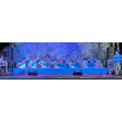 The Sitar Symphony on stage in Indore. The visual of so many sitars playing in unison is as powerful as the music itself.