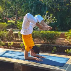Taking the practice outdoors connects us with nature. This practitioner demonstrates strength and balance in a forearm stand, showing how a consistent yoga practice builds stability and control that you can take off the mat and into the world.