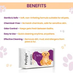 Here are the benefits of using my Pet Wipes. The formula is gentle, chemical-free, and safe for sensitive skin, while still being effective at removing dirt, controlling odour, and cleaning allergens from paws and fur.