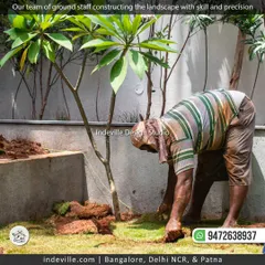 A member of my team carefully laying sod for a new lawn. This hands-on work is crucial for establishing a healthy, lush green foundation for any garden design.