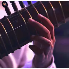 A detailed shot of my hand on the frets of the Sitar. The connection between the artist's hand and the strings is where the music is born.