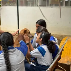 A group of students surrounds a calm and happy dog during their field trip to our shelter. These interactions teach children how to approach and care for animals with respect and compassion.