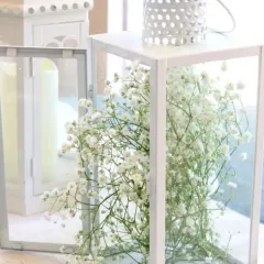A minimalist and modern decorative accent. Sprays of baby's breath are placed inside clean, white lanterns, perfect for adding a fresh touch to registration desks or lounge areas.
