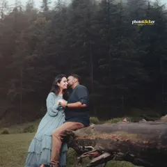 An intimate moment as a couple sits on a fallen log in a green meadow, sharing a quiet kiss during their anniversary shoot.