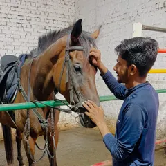 My duty is to ensure every horse feels respected and cared for. This bond, built on daily checks and genuine affection, is the foundation of our academy's philosophy.