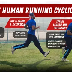To run faster, you need to understand the mechanics. This graphic explains how hip flexion and extension, combined with a longer stride length and higher frequency, contribute to greater speed.