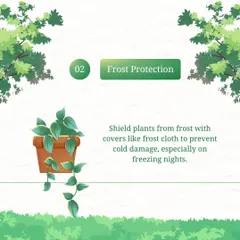 Shielding plants from frost is a key part of our winter maintenance service. We use covers like frost cloth to prevent cold damage, especially on freezing nights.