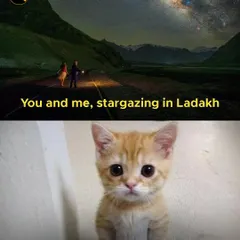 You and me, stargazing in Ladakh. Is this too much to ask for? A relatable meme for every couple or friend dreaming of an escape.