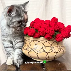 Kiki the cat giving her seal of approval to our 'Rose Vine' bouquet blanket. It's the perfect decorative piece that's also pet friendly.