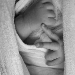 A tiny hand, a big promise. This artistic black and white shot focuses on the delicate, curled fingers of a newborn, a detail you'll want to remember forever.