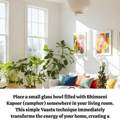One of the simplest and most effective Vaastu techniques is placing a small glass bowl of Bhimseni Kapoor (camphor) in your living room. Its purifying properties can immediately transform the energy of your home, creating a positive shift within minutes.