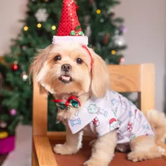 This little dog is the star of the show, dressed in a festive Christmas outfit complete with a Santa hat and bow tie.
