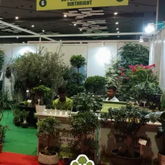 Our booth at the Van Mahotsav event was a hub of green activity. We showcased a wide variety of plants, from small bonsai to large trees, engaging with the community and encouraging everyone to plant more.