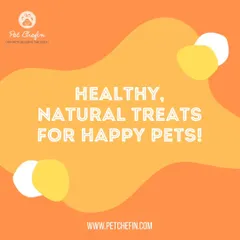Healthy, natural treats lead to happy pets. We offer a wide variety of air-dried snacks including chicken, mutton, quail, pork, and fish, ensuring there's a favorite for every dog and cat.
