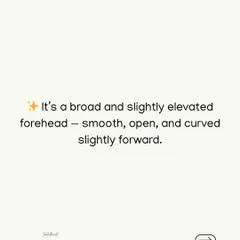 Here, I describe the specific forehead shape that signals a natural ability to connect with large audiences. It is broad, smooth, and curves slightly forward, indicating high mental sharpness.