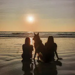 Sunsets on the beach with my best boy. These are the moments of pure connection that I want every dog owner to experience.