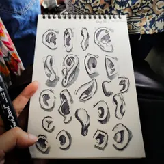 Day 3 was dedicated to practicing ears, which have so many unique curves and shadows.