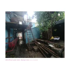 The spark for the IF.BE project came from this Banyan tree, its roots choked by rubble and concrete. Freeing this tree became a central metaphor for the entire project: releasing the life and potential trapped within the decaying structure.