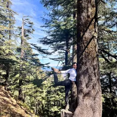 Rooted and grounded, I practice Natarajasana, the dancer's pose, against a tree in the forests of Uttarakhand. This is what forest bathing feels like, drawing energy and stability from the ancient trees around us.