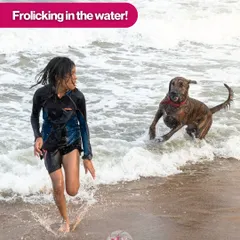 Frolicking in the water! This action shot captures the pure, unadulterated joy of a dog and his human playing in the waves.