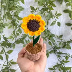 Holding up the mini potted sunflower. It's so small and cute, and it makes a wonderful, budget-friendly gift.