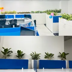 This collage shows the versatility of our plant solutions within a single office space. The top image displays a mix of colorful and green plants on storage cabinets, while the bottom image shows how we use Fiddle Leaf Figs as elegant desk dividers.