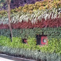 An outdoor green wall can be a vibrant tapestry of color. This installation uses plants with red, purple, and varied green foliage to create distinct color bands, while cleverly integrating essential building features like fire hose cabinets.