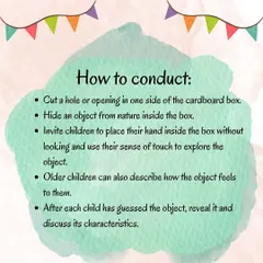 An infographic explaining our "Mystery Box" activity. Children use their sense of touch to identify hidden objects from nature, developing tactile discrimination and curiosity.