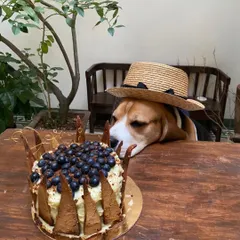 The birthday boy, Doro, taking a moment to appreciate his custom cake. Moments like these are just priceless.