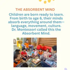 From birth to age six, a child's mind is like a sponge. I create an environment rich with language, movement, and culture to feed this 'Absorbent Mind' and lay the groundwork for all future learning.