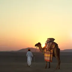 A merchant and his camel, laden with textiles, walk into the sunset. This cinematic shot captures the timeless story of artisans and their craft, blending product photography with a powerful human narrative.