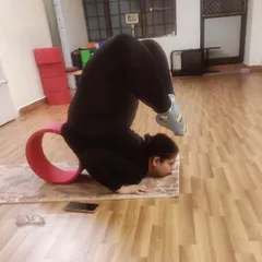 This is an advanced backbend, bringing the feet towards the head from a forearm wheel pose, supported by a yoga wheel. This shows the incredible spinal flexibility that can be achieved with dedicated practice.
