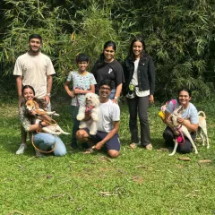 A successful socialization session is not about a chaotic free-for-all. Here, we are practicing engagement with parents and calm neutrality in the presence of other dogs, which are the foundational skills for good social behavior.