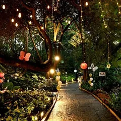 An enchanted garden theme for a special celebration. I used hanging lights, paper lanterns, and butterfly decorations to transform this pathway into a magical, whimsical trail for guests to explore.