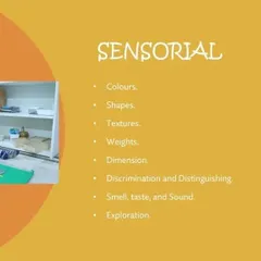 Sensorial activities are key to a child's development. Our materials help children refine their understanding of colors, shapes, textures, and dimensions through exploration.