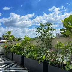 Another view of the East of Kailash terrace, showing a mix of bamboo and flowering plants that thrive in the sun.