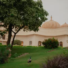 Capturing the serene atmosphere of The Oberoi Udaivilas, with a peacock adding a touch of natural beauty to the frame. It's these little details that make a pre-wedding shoot special.