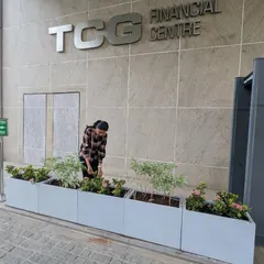 A member of our team puts the finishing touches on the planting arrangement. We carefully place each plant, like these Ixora and Variegated Tagar, to ensure a balanced and visually appealing design.