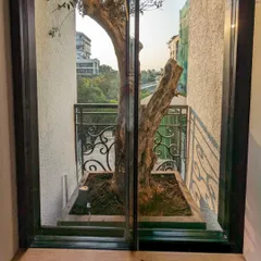 We love a creative challenge. For this Juhu balcony, we had to carefully install a large, mature bonsai tree in a custom-fit FRP planter, turning a limited space into a dramatic natural focal point as seen from inside the home.