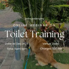 My online webinar on Toilet Training is perfect for new puppy parents. I cover everything from setting up a routine to handling accidents, making the process as smooth and stress-free as possible.