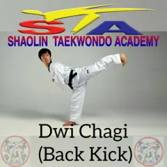 The Dwi Chagi, or Back Kick. A powerful surprise technique that can be used effectively in sparring when mastered.
